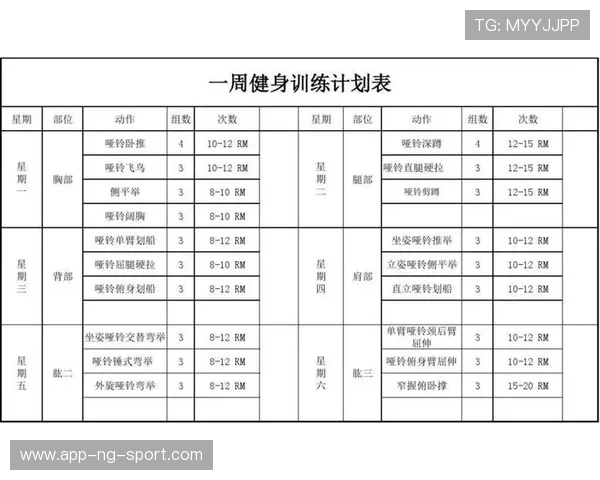 健身从基础开始如何科学制定训练计划提升力量与耐力效果