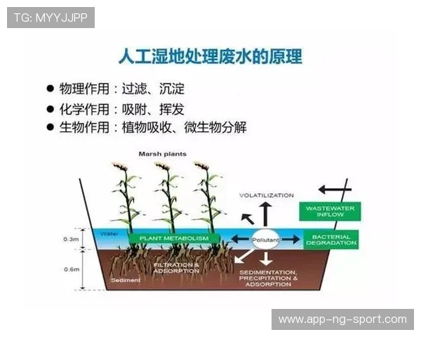 从零开始打造篮球团队协作的全面指南与实战技巧分享 从零开始打造篮球团队协作的全面指南与实战技巧分享