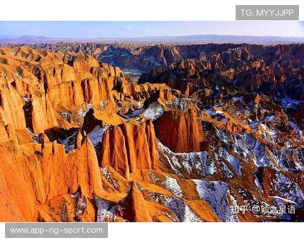 深圳城市马拉松点评:攀岩队技术表现与赛事精彩瞬间的深度分析 深圳城市马拉松点评:攀岩队技术表现与赛事精彩瞬间的深度分析